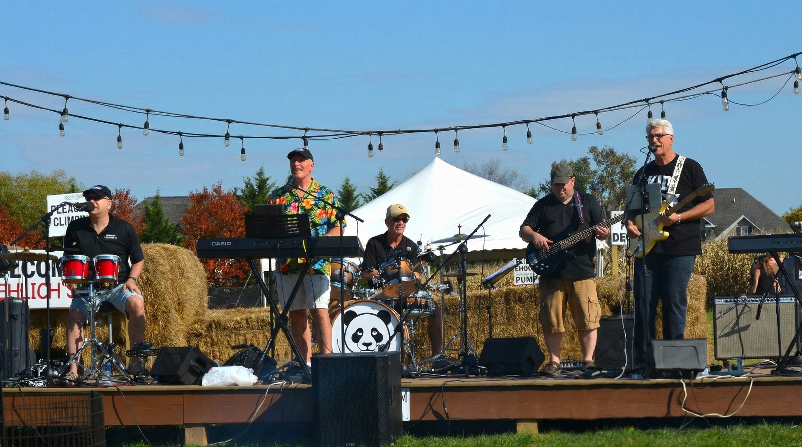 The Panda Banda performing live at an outdoor fall festival